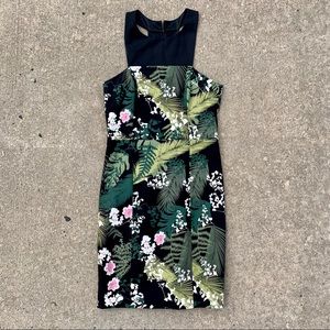 Adrianna Papell Black and Green Tropical Dress 8
